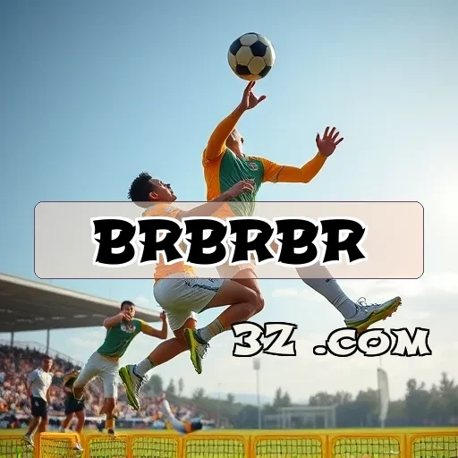 brbrbr.com Simulação